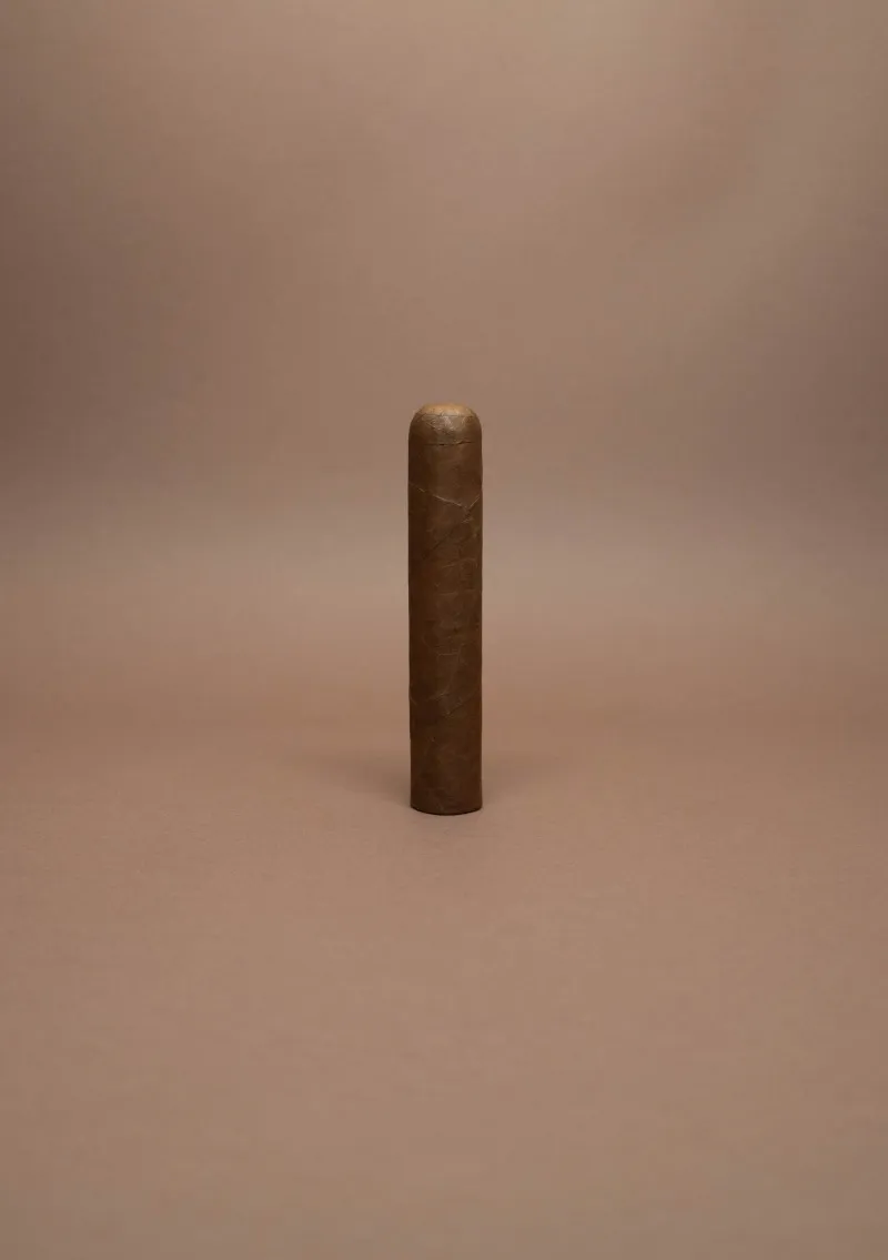 Overrun Vegas de Santiago, Robusto Gordo Mixfiller